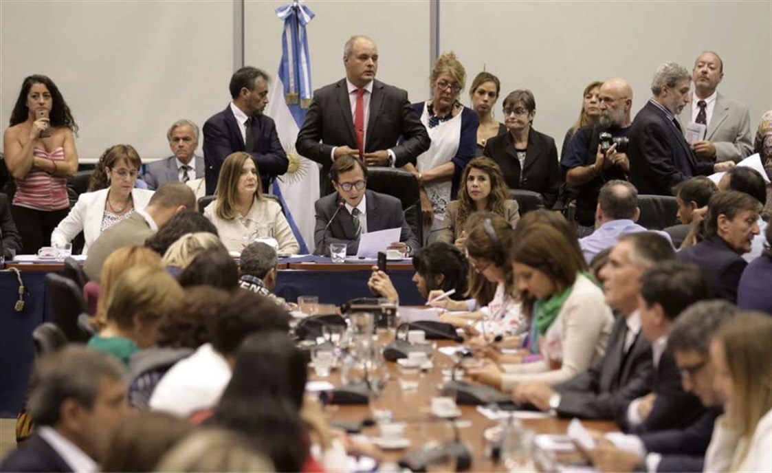 Estiman que a lo largo de seis semanas unos 700 expositores plantearán sus posturas en las comisiones de la Cámara de Diputados; se analizan ocho proyectos de ley Crédito: Daniel Jayo