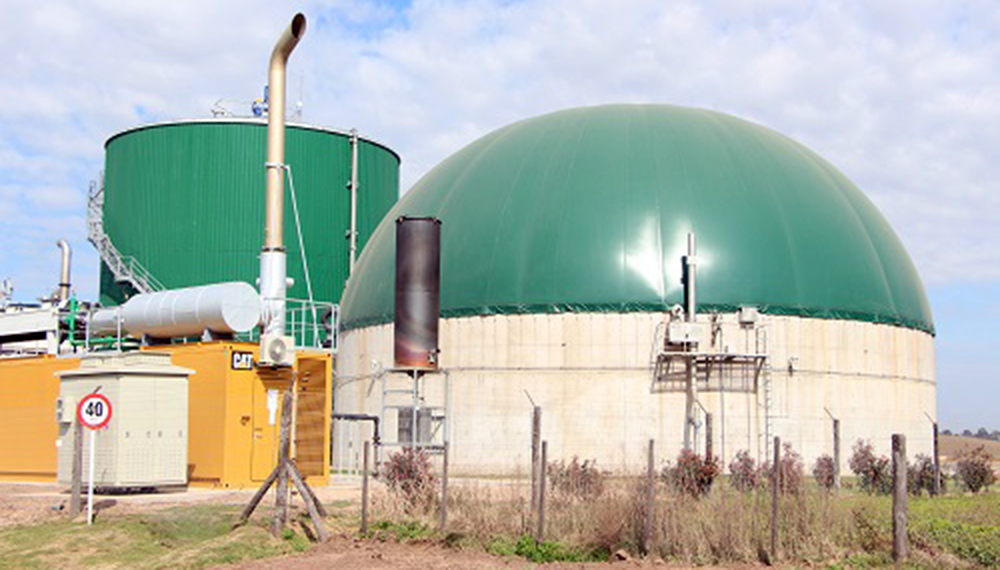 De la mano del biogás, nuestro país tiene potencial para reemplazar la importación de gas.