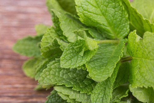 Hierbabuena para la salud.