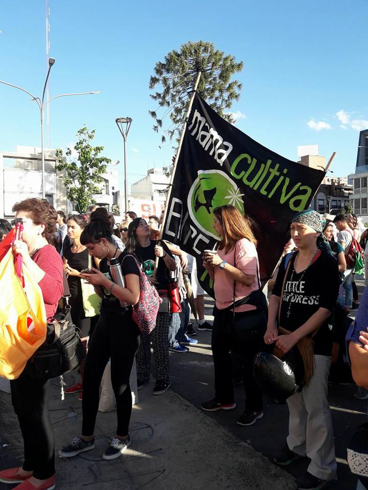 Mamá Cultiva marchando en Paraná.