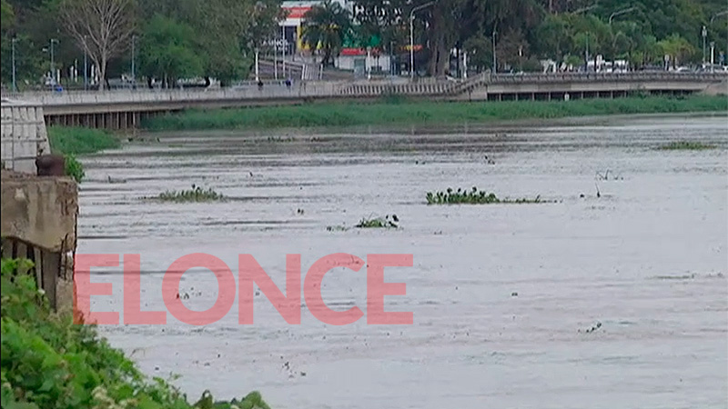 Camalotes en el río. Elonce.com