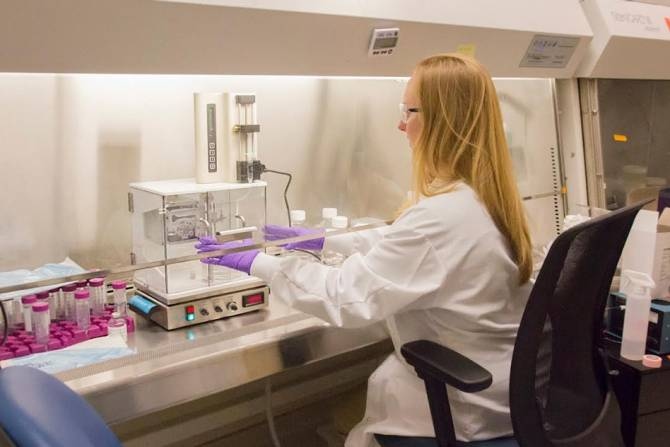 Sigilon Therapeutics se ha asociado con Eli Lilly and Company para desarrollar sistemas implantables que produzcan insulina. (Foto: MIT)