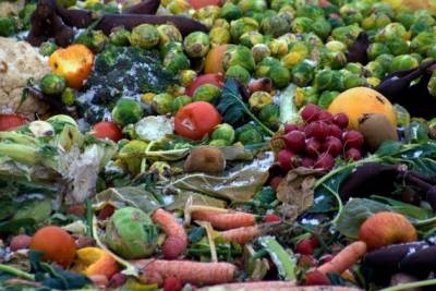 Coronavirus: La FAO alerta por una 