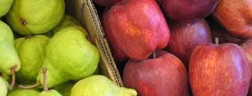 Afip lanza plan de facilidades de pago para la cadena de producción de peras y manzanas.