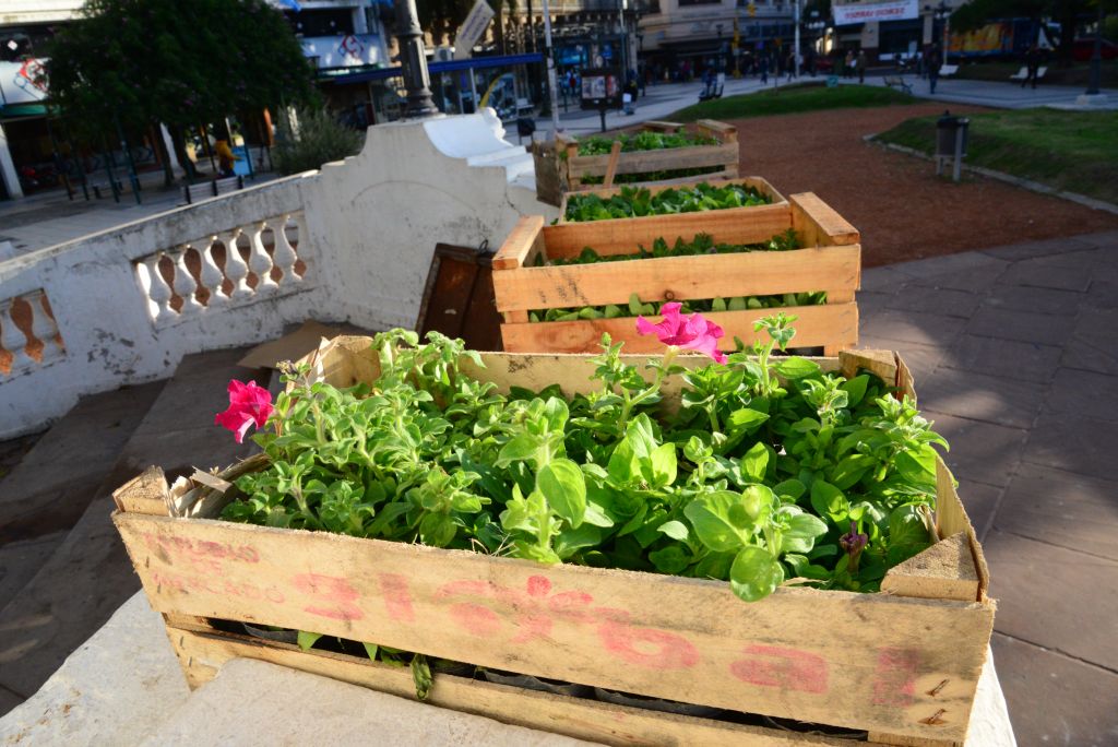 Plazas para la plaza.