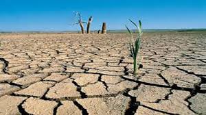 Día contra la desertificación y la sequía