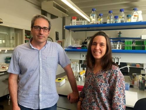 Bru Cormand y Raquel Rabionet. (Foto: U. Barcelona)