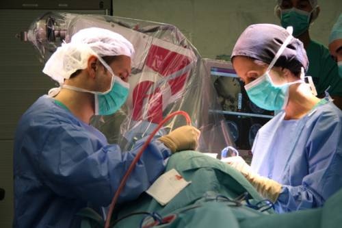 La cirugía aplicada a los pacientes con anorexia nerviosa consiste en la colocación de electrodos en el área subcallosa o núcleo accumbens del cerebro. (Foto: Hospital del Mar)