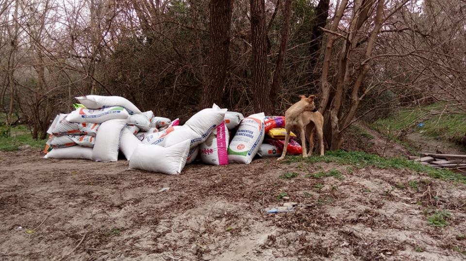 El viaje de hoy para llevar donaciones a la Manada.