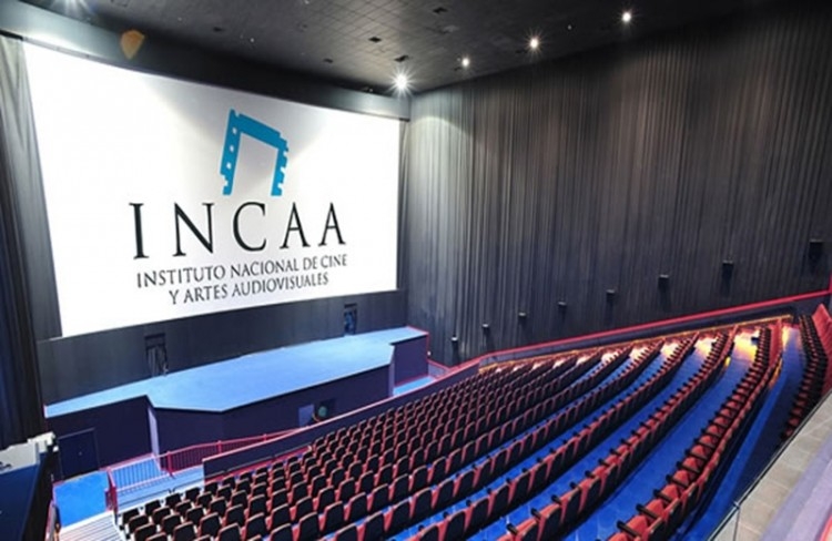 Denuncian el desguace del Incaa