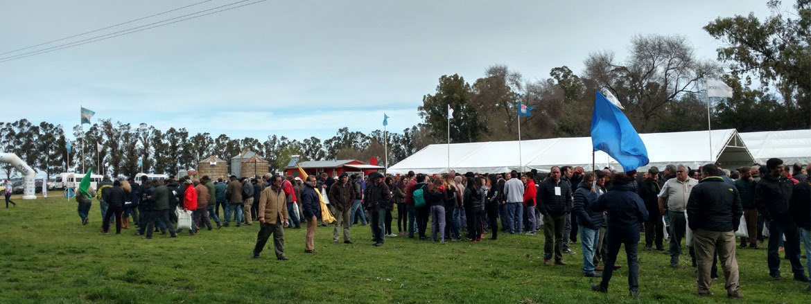 Más de 500 productores asistieron de la Jornada a Campo del Ipcva en Tres Arroyos