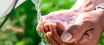 Las características constructivas de las perforaciones así como la disposición de la infraestructura en los predios (pozos ciegos, acopio de enmiendas orgánicas y fertilizantes) condiciona la calidad del agua.