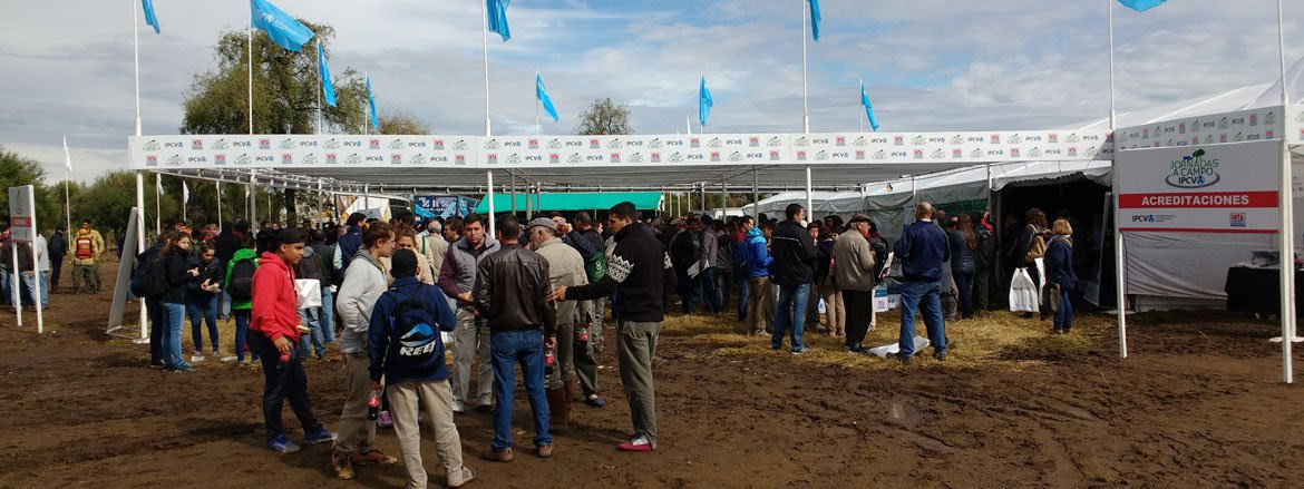 Palpitando la Jornada a Campo del Ipcva en Cruz del Eje