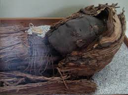 Momias andinas, las más antiguas.