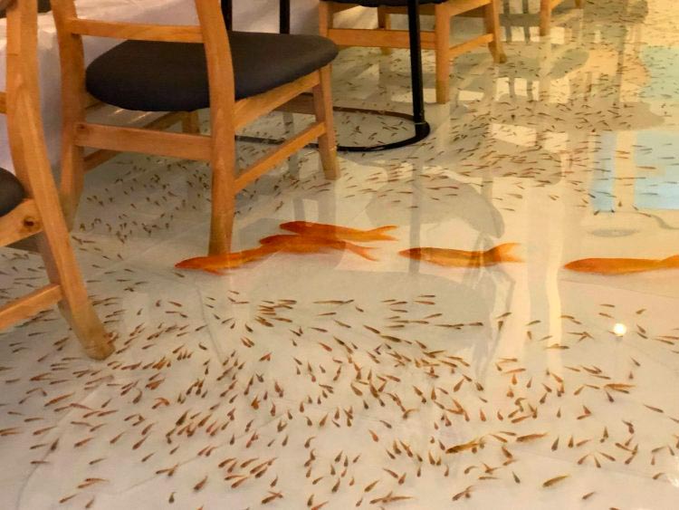 Ubicado en la ciudad vietnamita de Ho Chi Minh, Amix Coffee cuenta con dos pisos inundados de cientos de peces