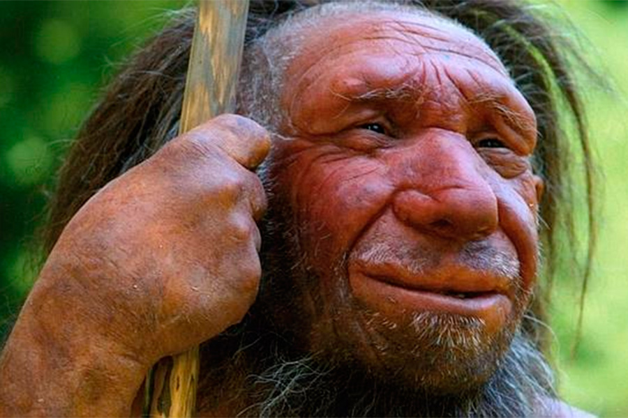 Un equipo internacional de científicos ha reconstruido en 3D el tórax de un neandertal .