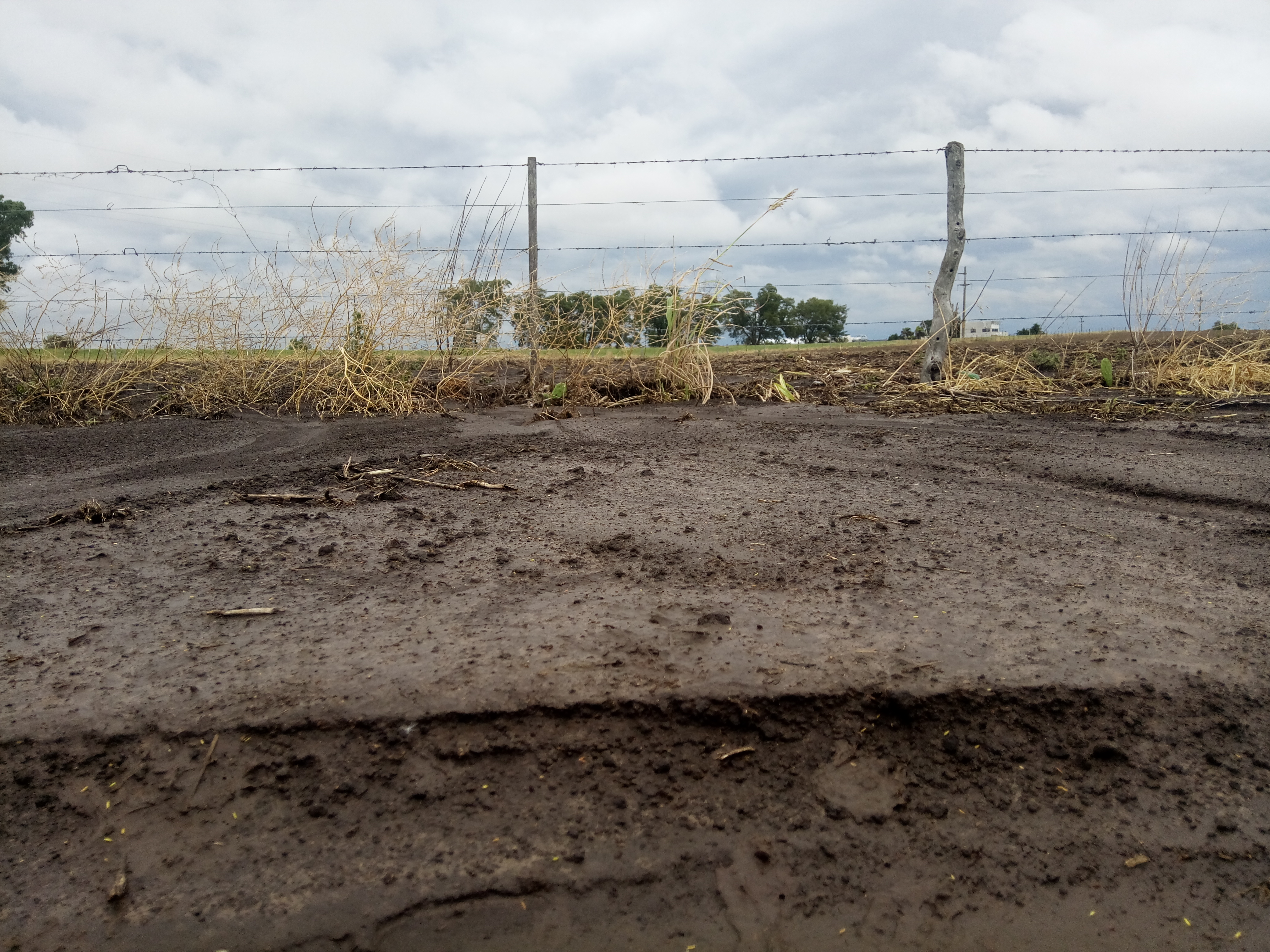 La capa más fértil del suelo de un campo, arrastrada por la lluvia contra el alambrado.