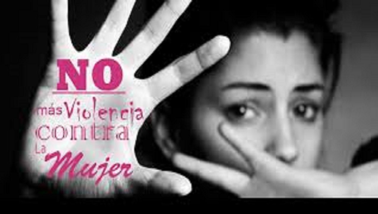 Proyecto de ley de emergencia en violencia contra las mujeres, al Congreso