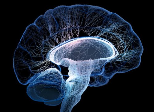 El ictus es una de las causas más frecuentes de asistencia neurológica urgente, provocado por un trastorno de la circulación cerebral. (Foto: Fotolia)