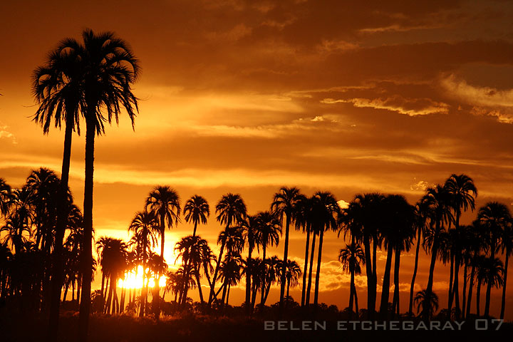 El Parque Nacional El Palmar.