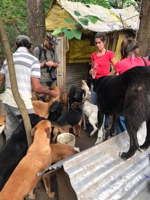 Foto: La Manada de Roberto