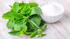 En los últimos años se ha incrementado el interés por el cultivo de estevia (stevia rebaudiana, yerba dulce o caá-heé).