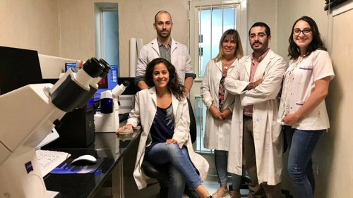 Miembros del equipo de investigación. (Foto: Universidad Nacional de Tucumán / Argentina Investiga)