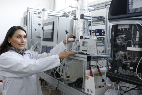 La doctora Berenice Celis García. (Foto: IPICYT / CONACYT)
