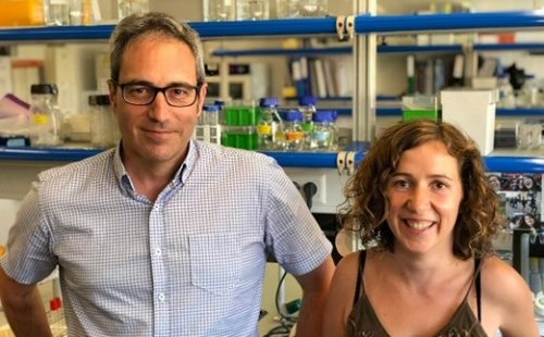 Bru Cormand y Noèlia Fernàndez Castillo. (Foto: UB)