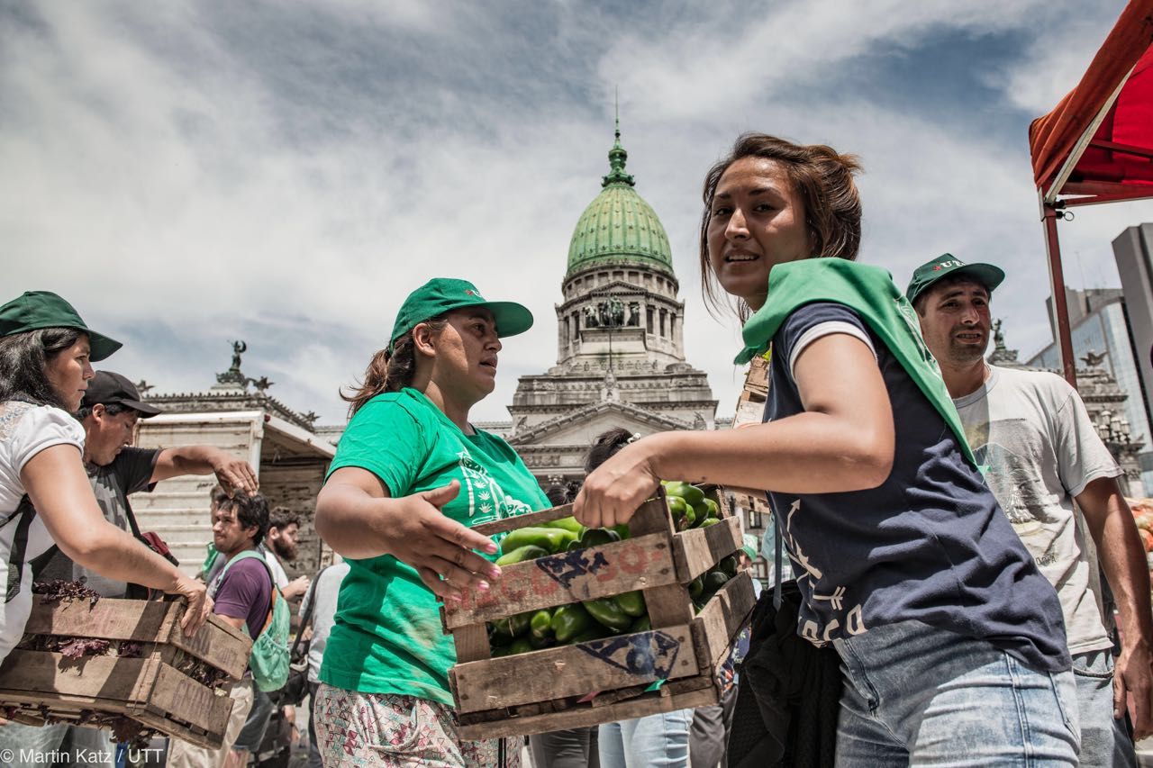 Plantas medicinales: El remedio está en la tierra