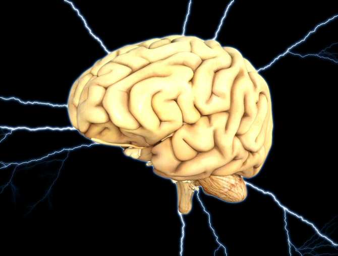 Recreación artística del cerebro humano. (Imagen: TheDigitalArtist / Pixabay)