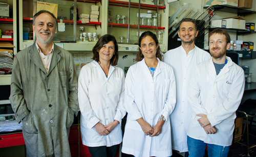 Miembros del equipo de investigación. (Foto: Agencia CyTA-Fundación Leloir)