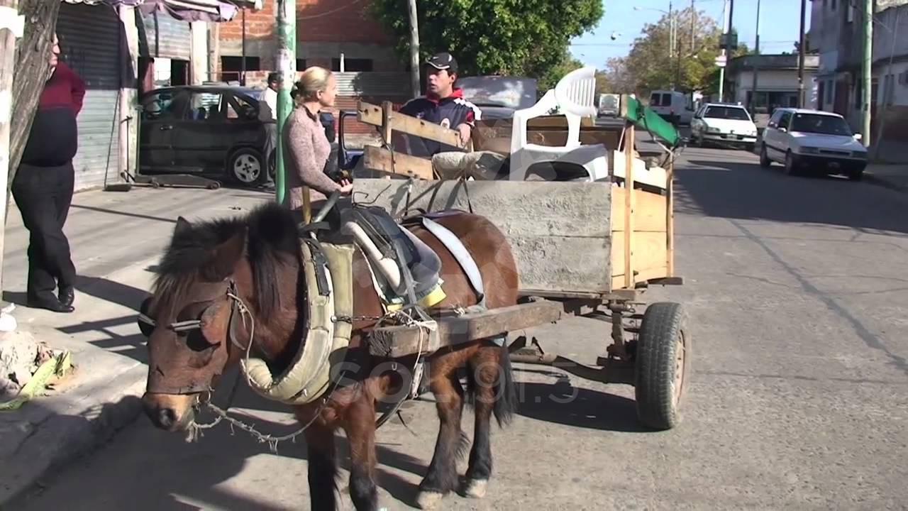 La Tracción a Sangre es el medio de transporte que utiliza a animales y a humanos para recolección informal de residuos, chatarra, escombros y venta de algunos productos