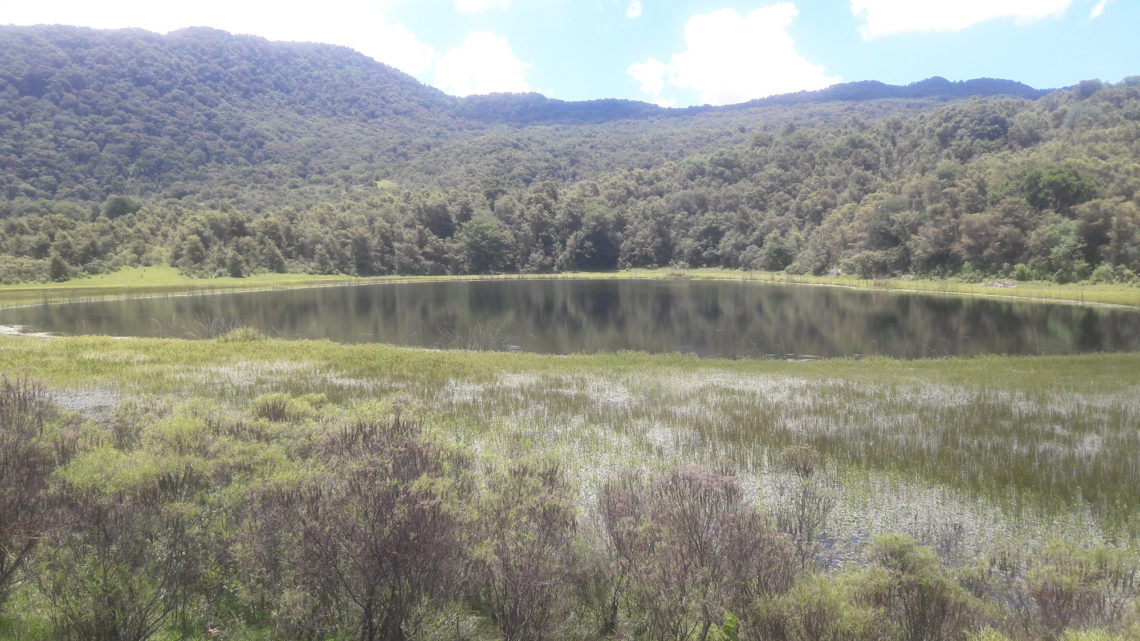 El hecho ocurrió en un lugar ubicado entre las comunidades de San Bernardo y Laguna de Tesorero, a 2500 metros sobre el nivel de mar.