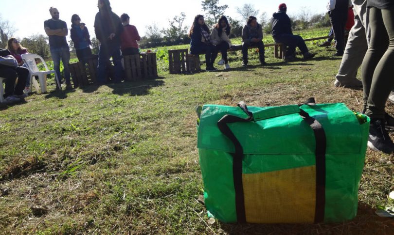 Diseñan un envase ecológico para trasladar hortalizas.