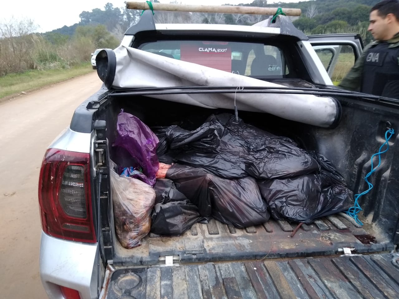 Es una especie cuyo estado de conservación es crítico en la zona del Delta, donde se realizó el operativo.