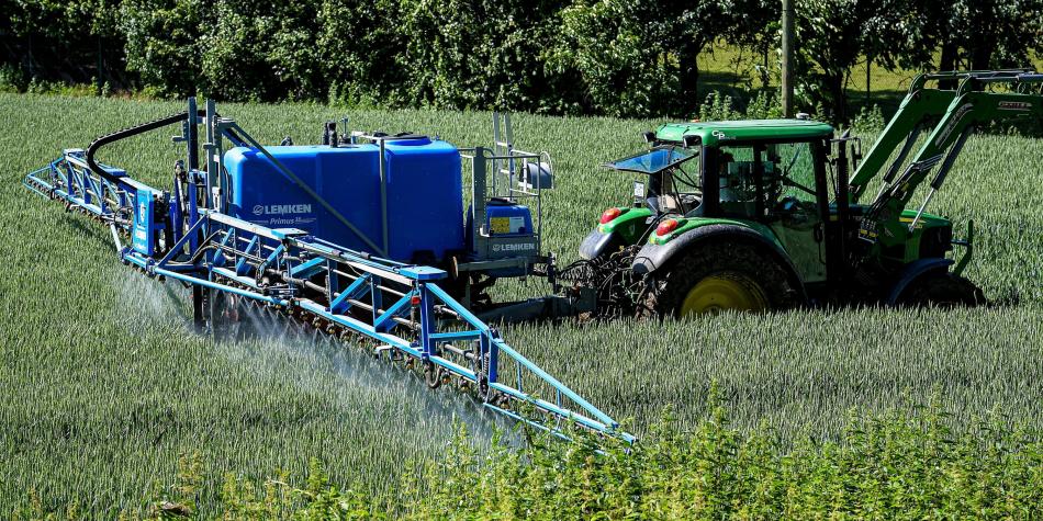 El glifosato es el herbicida más utilizado en los campos europeos, pero sus efectos sobre la salud y el medioambiente son el centro de grandes polémicas.