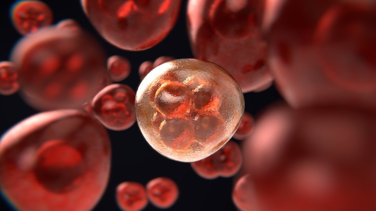 Prueban con éxito un láser que puede localizar y destruir células cancerígenas.