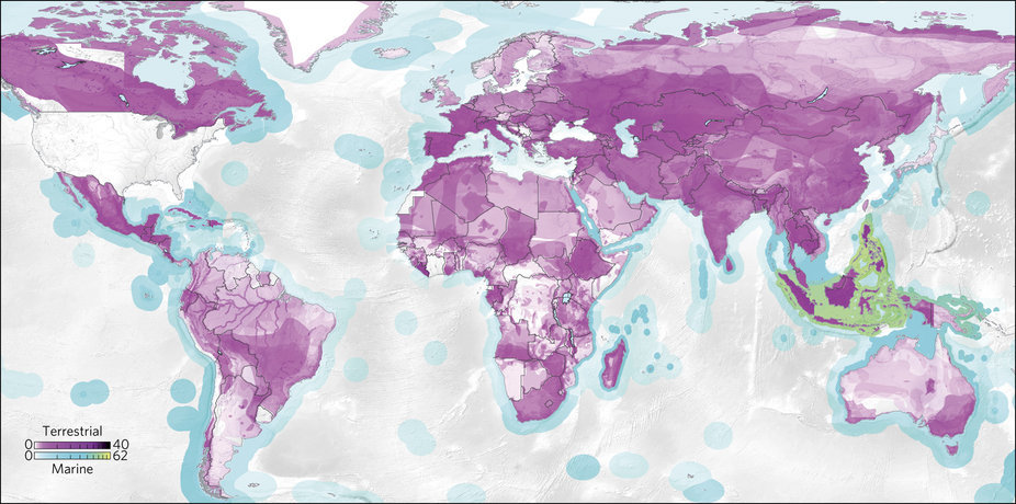 Mapa mundial que identifica con diferentes tonalidades de colores las rutas económicas internacionales que afectan más a la fauna silvestre. El morado indica las áreas donde las especies terrestres están en peligro de extinción, y el azul, donde peligra la vida silvestre marina. Cuanto más oscura es el área, más grave es la amenaza- imagen Daniel Moran y Keiichiro Kanemoto