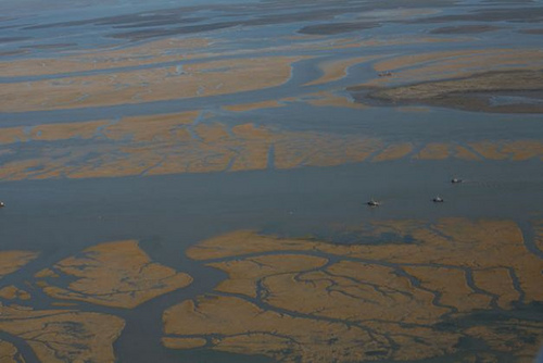 Bahía Blanca está bajo 
