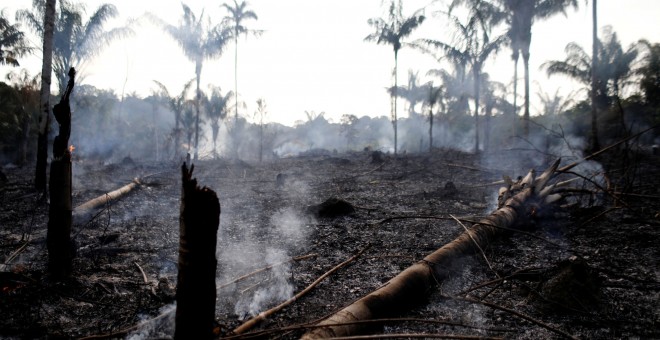 Los incendios en el amazonas, que comenzaron el 10 de agosto, afectaron a más de 70 mil hectáreas de la selva brasileña.