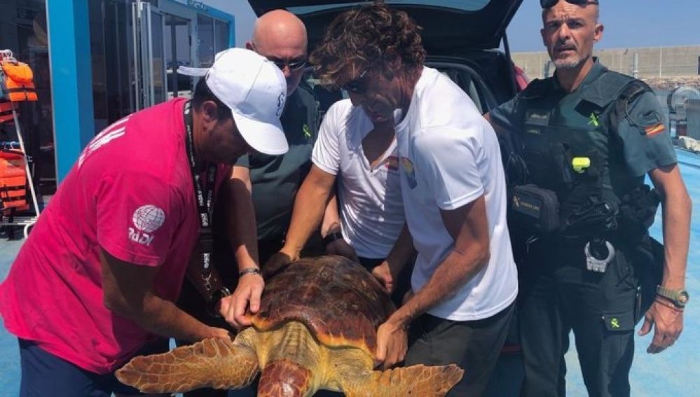 La guardia civil de españa encontró al animal y realizó el operativo.