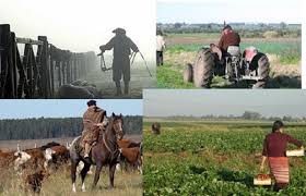 Libreta de trabajador rural: Senadores dictaminaron aumentar las multas