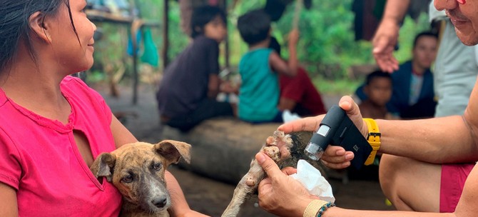 En hasta el 99% de los casos humanos, el virus de la rabia es transmitido por perros domésticos. (Foto: Isabelle Roger/PAHO/WHO)