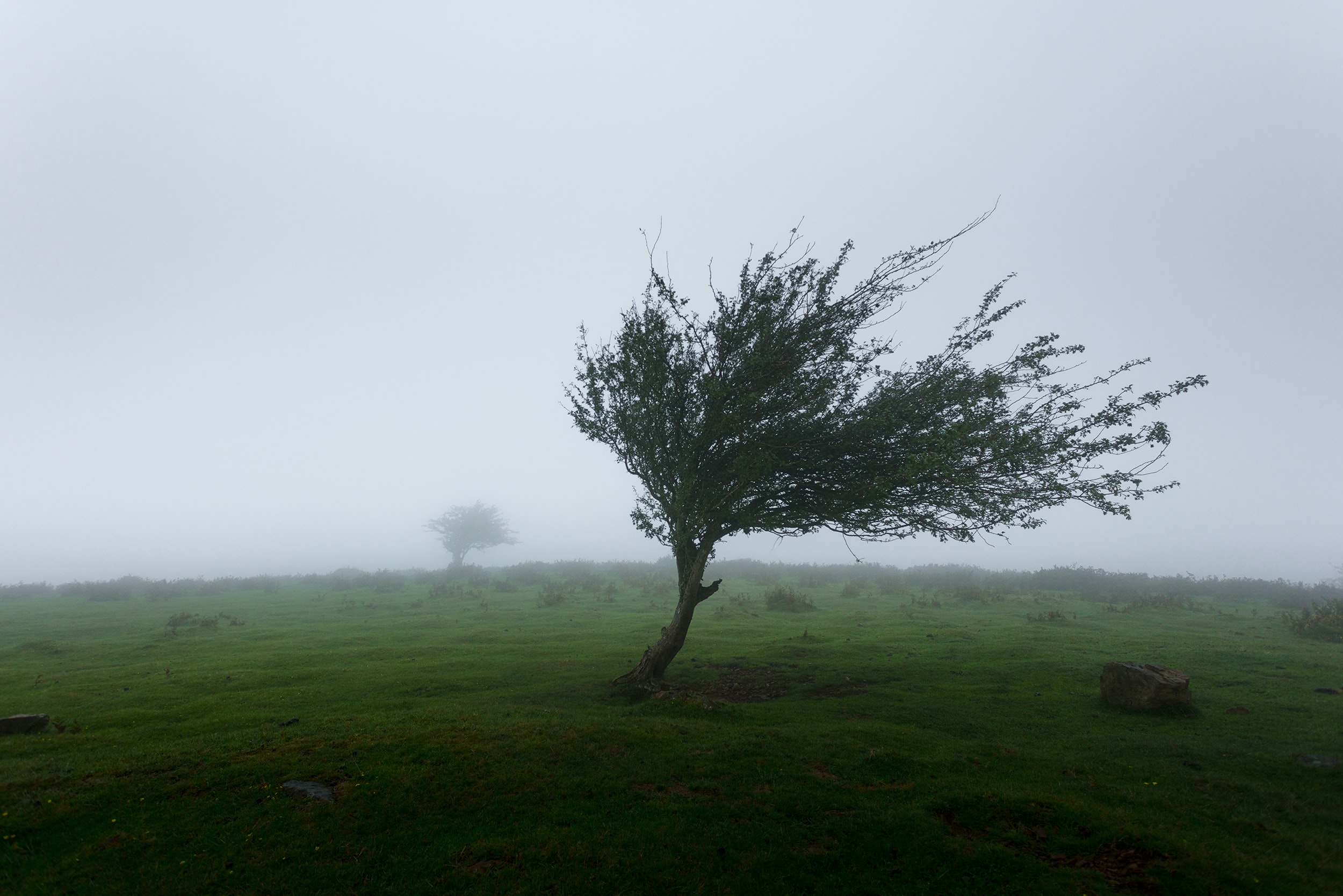 Alerta en Entre Ríos por ráfagas de viento intensas.