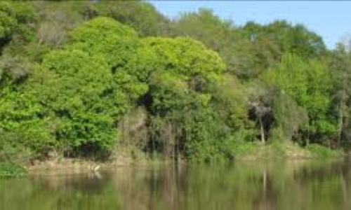 Delta del Paraná: Avances para crear un área natural protegida en la zona