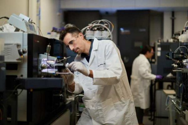 Nicolas Barthelemy coloca una muestra