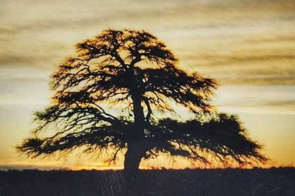 Primeros pasos hacia un nuevo parque nacional