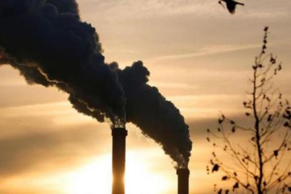 Buscan que Argentina sea carbono neutral en 2050