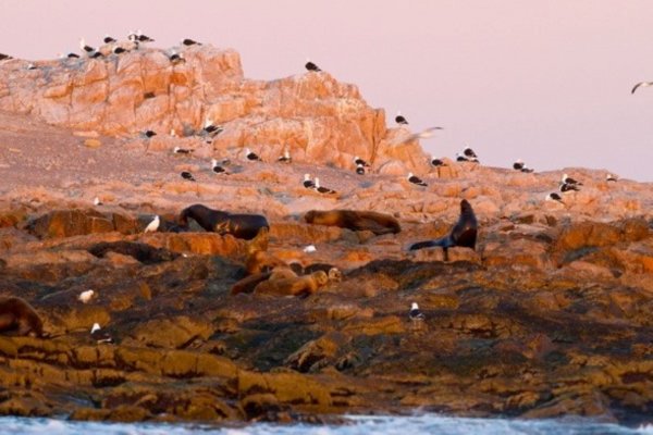 Islote Lobos está cerca de Playas Doradas